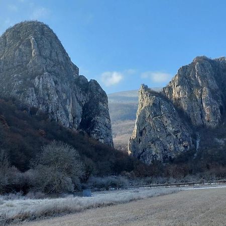Golemi Kamik Pirot Vlasi Exterior foto