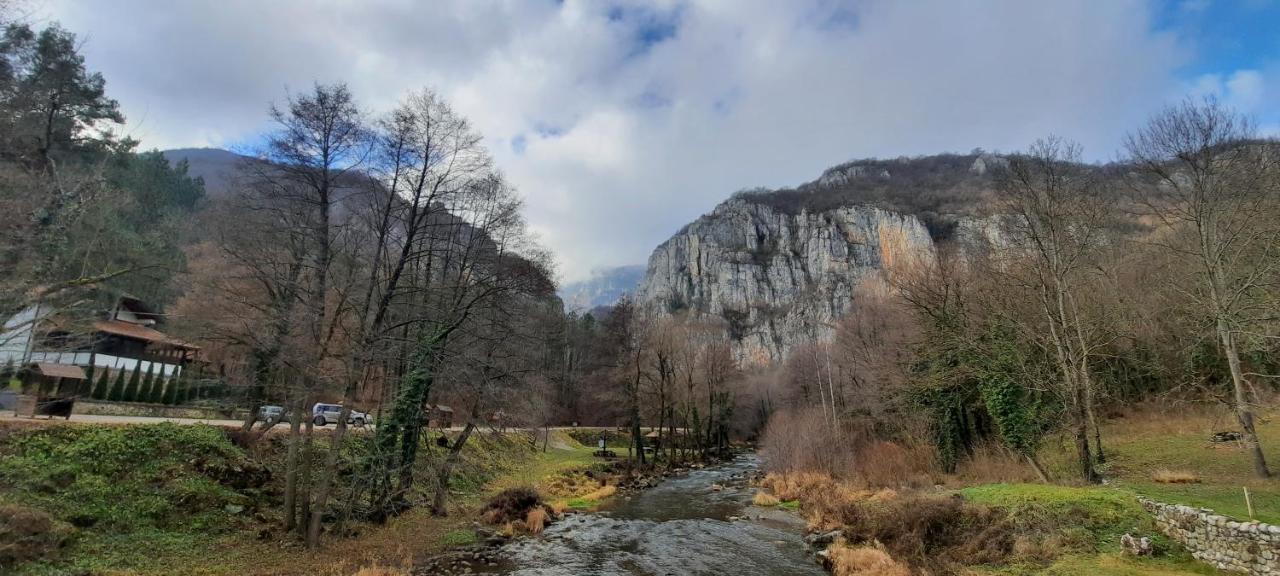 Golemi Kamik Pirot Vlasi Exterior foto