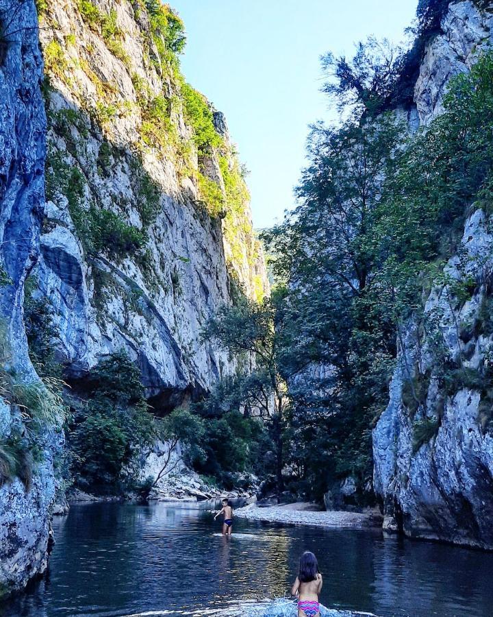 Golemi Kamik Pirot Vlasi Exterior foto