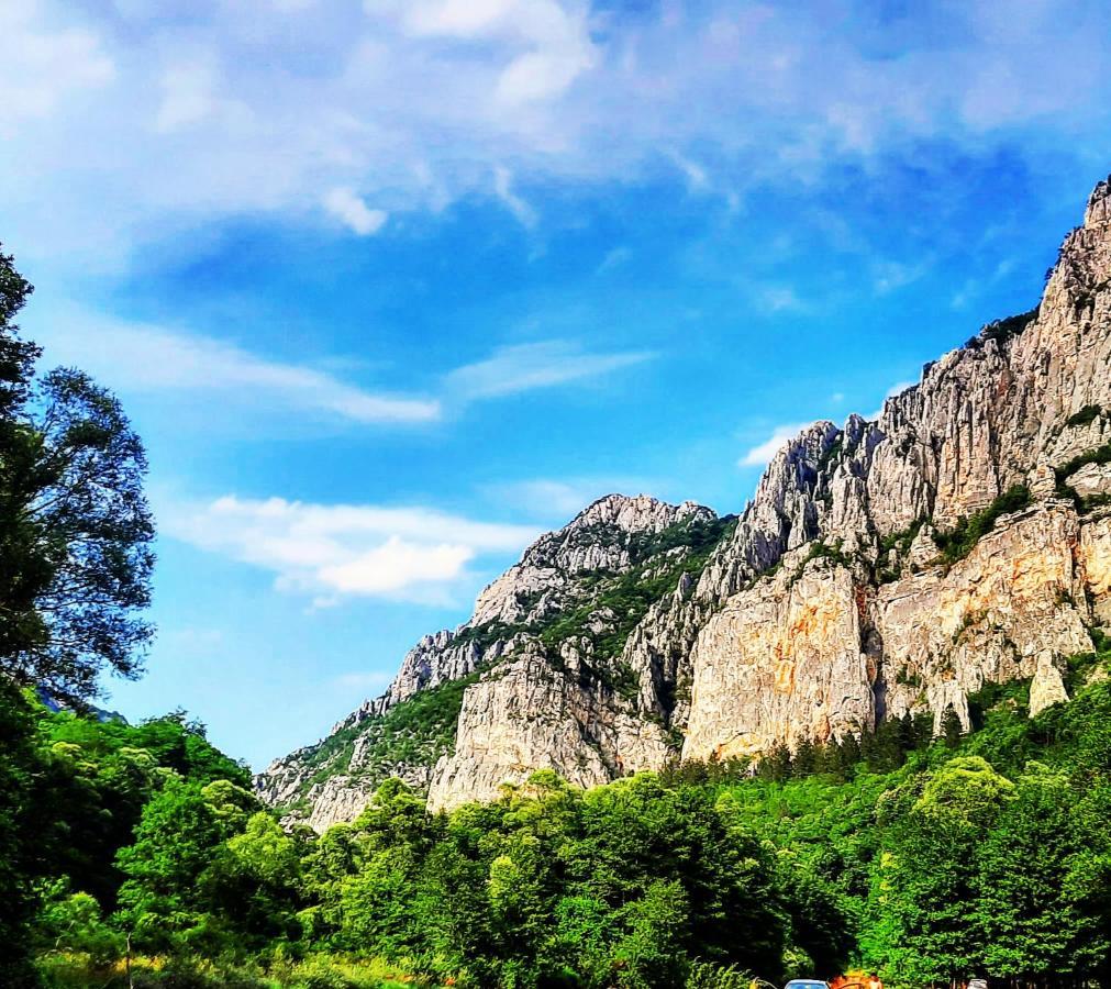 Golemi Kamik Pirot Vlasi Exterior foto