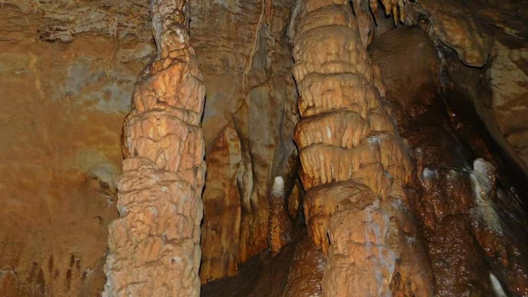 Golemi Kamik Pirot Vlasi Exterior foto