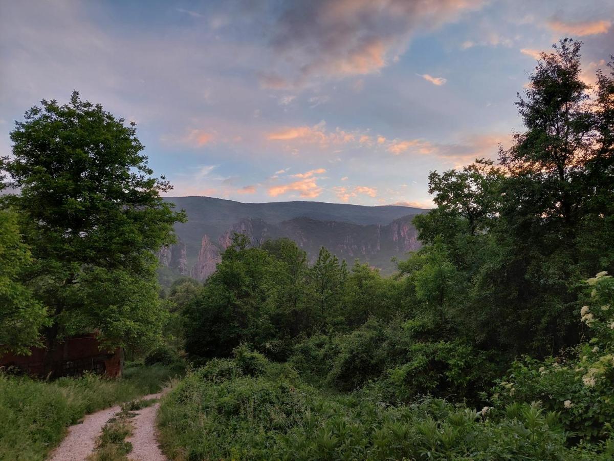 Golemi Kamik Pirot Vlasi Exterior foto