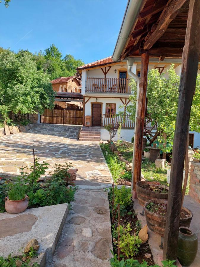 Golemi Kamik Pirot Vlasi Exterior foto
